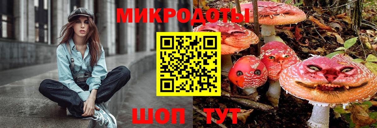 Псилоцибиновые грибы Cubensis  Вход с VPN  Джанкой 